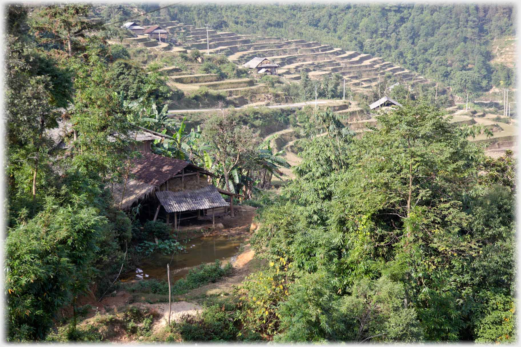 House under trees with terraces behind.