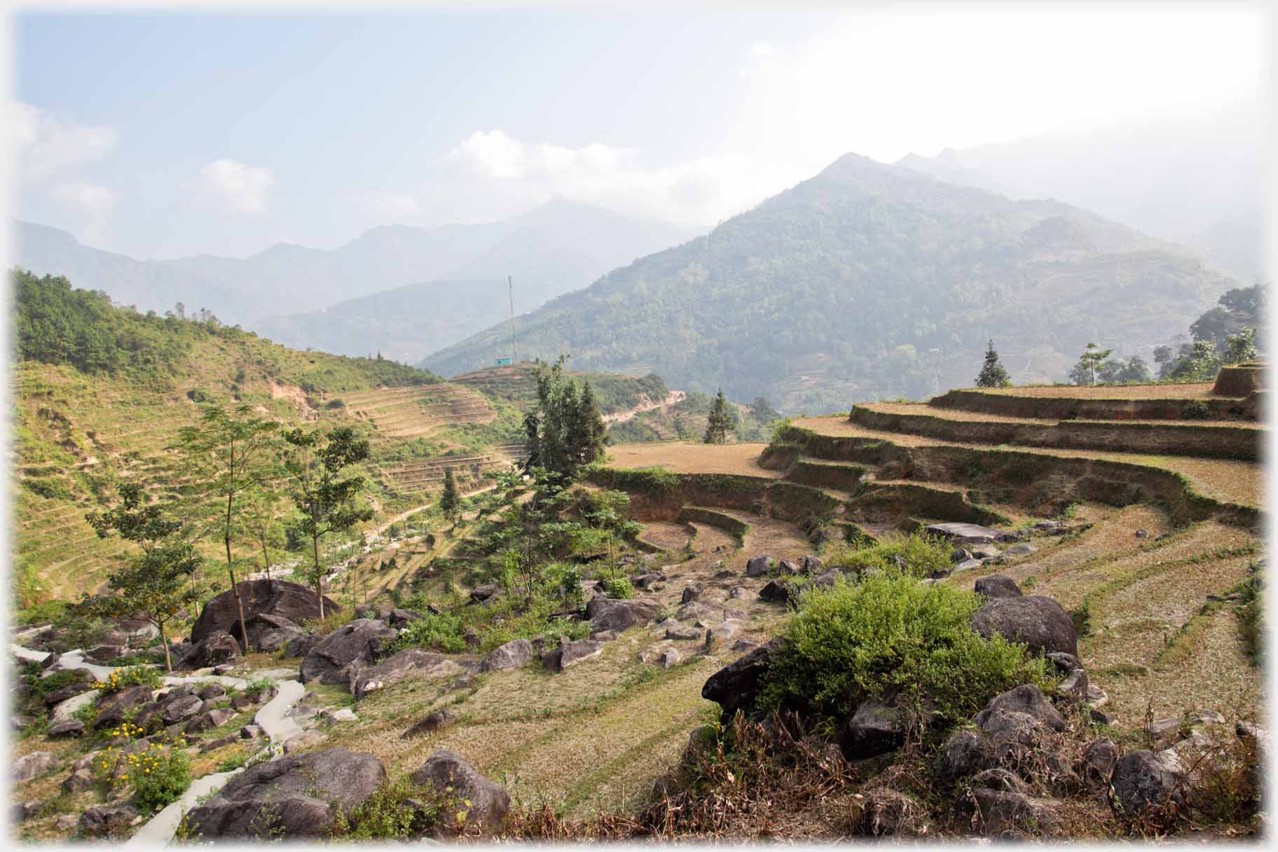 Terraces, road winding off, pyramid hill in background.