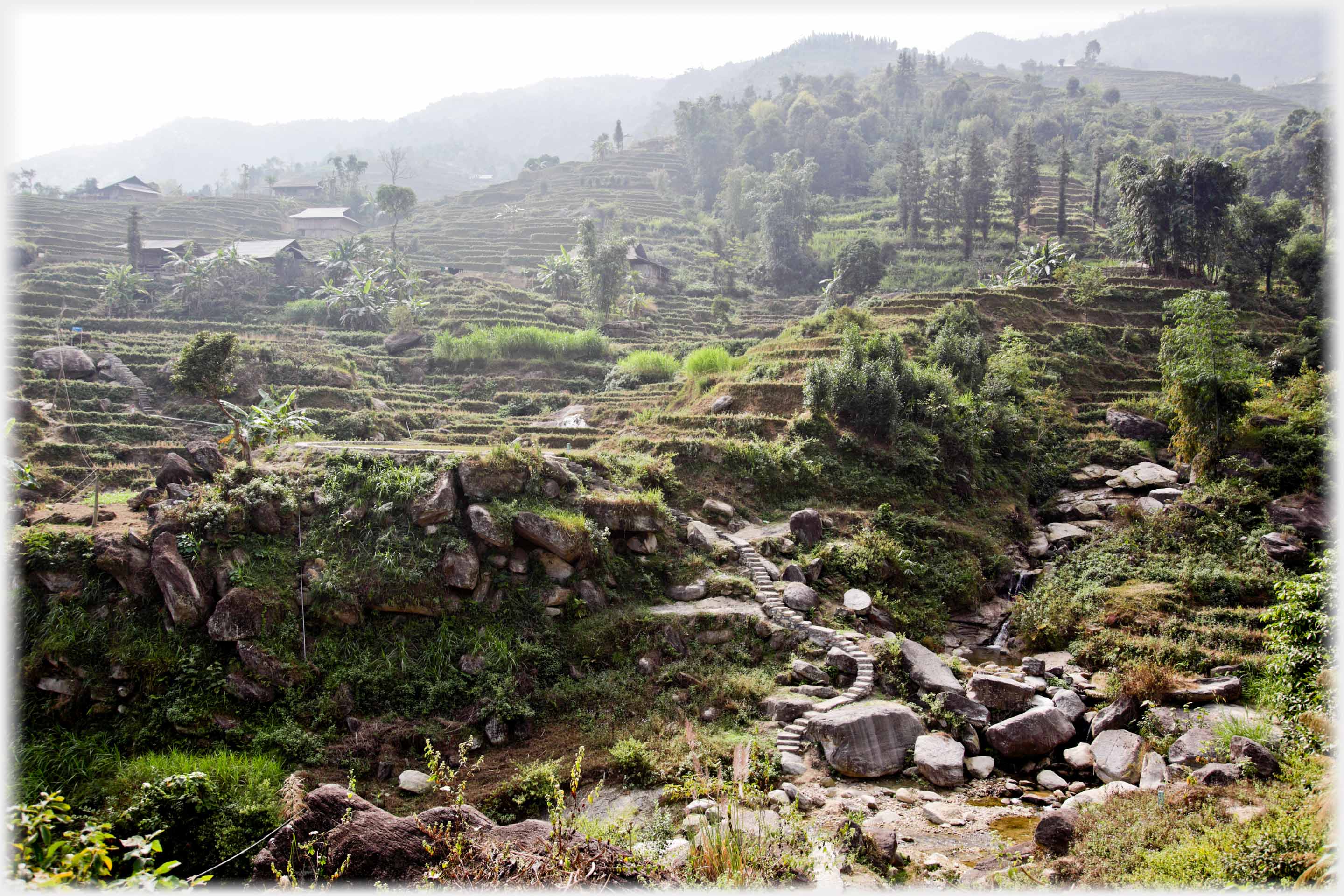 Complex hillside of terraces, houses trees and rocks, with steps in foreground.