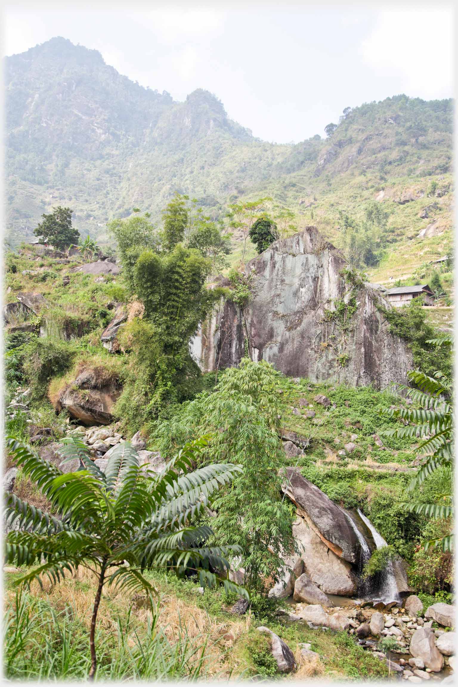 Rough, rocky, wooded valley, mountain beyond.