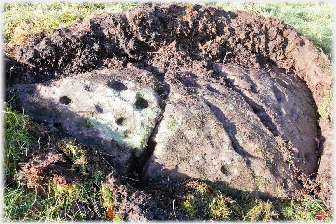 Pitted stone.