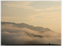 Small bird watching sun rise over clouds.