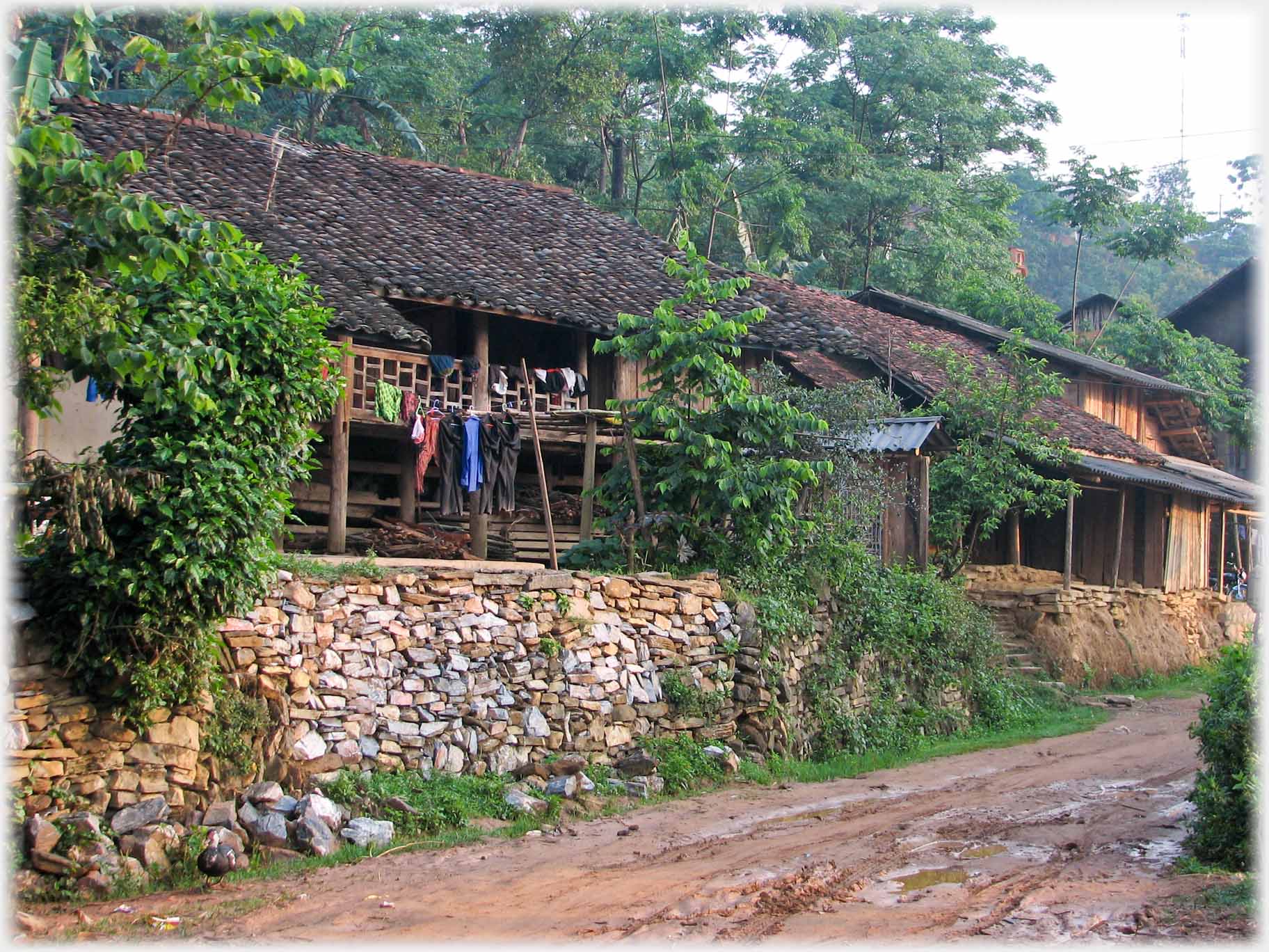 Line of houses above muddy lane.
