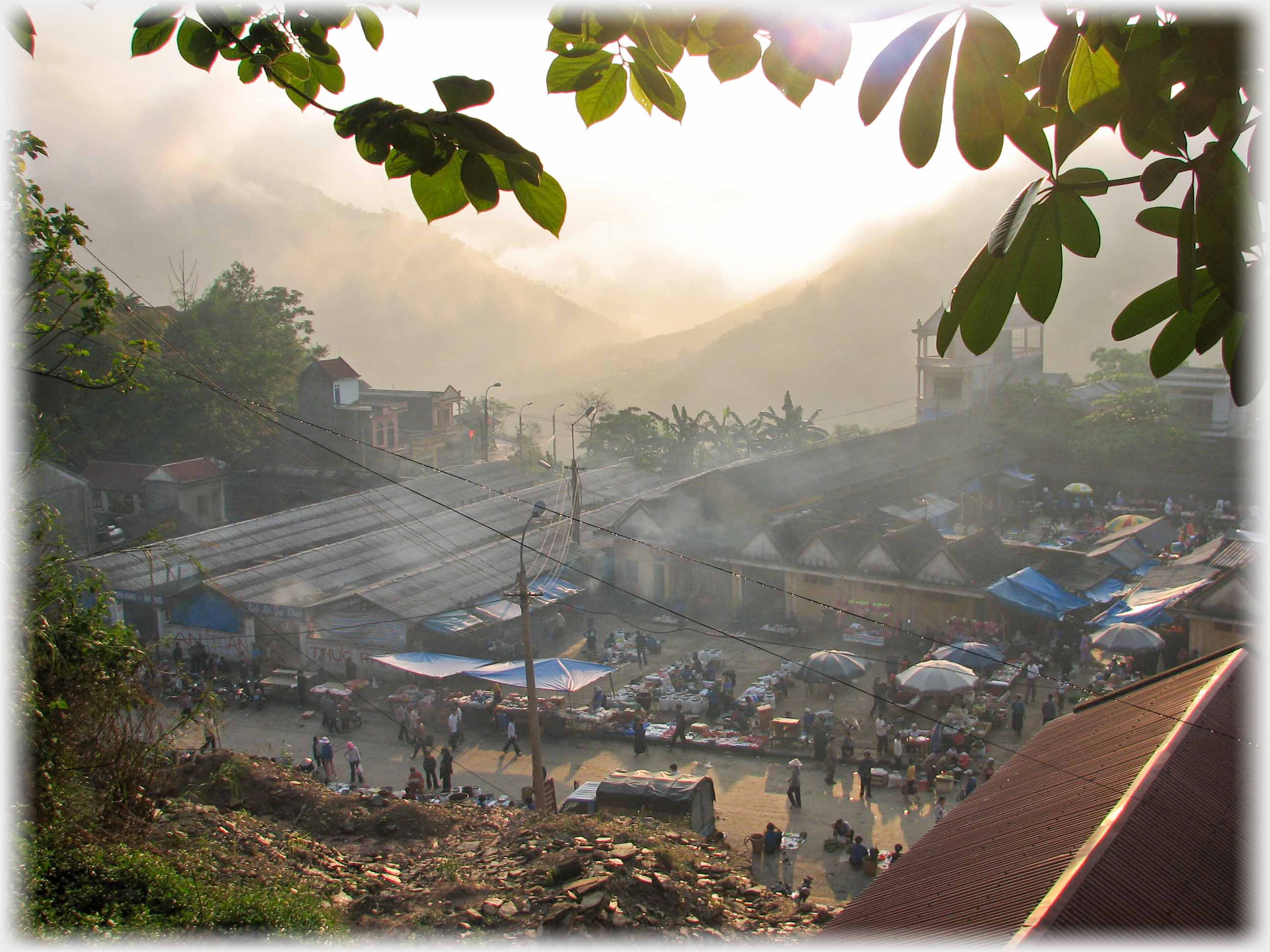 Looking between tree leaves at a road and market area below, misty hills in the distance.