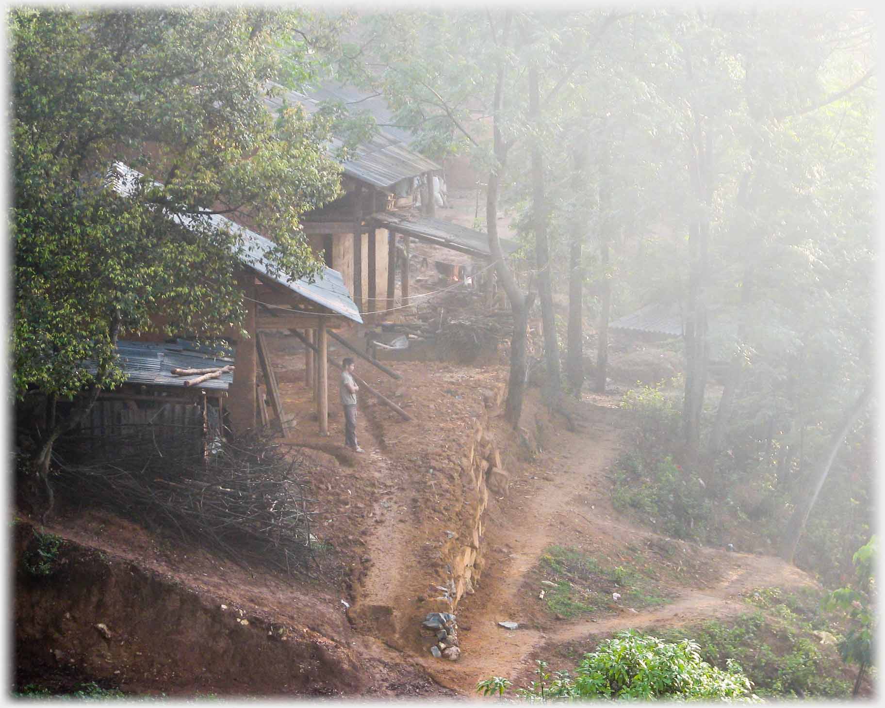 Misty woods with houses at left and man standing.
