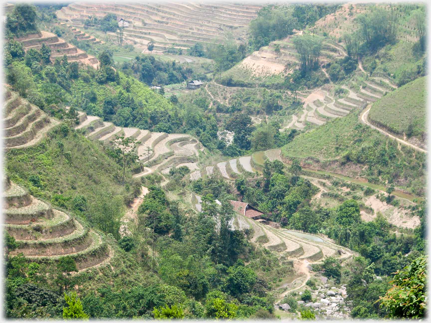 Heavily terraced valley sides with only the green of trees showing.