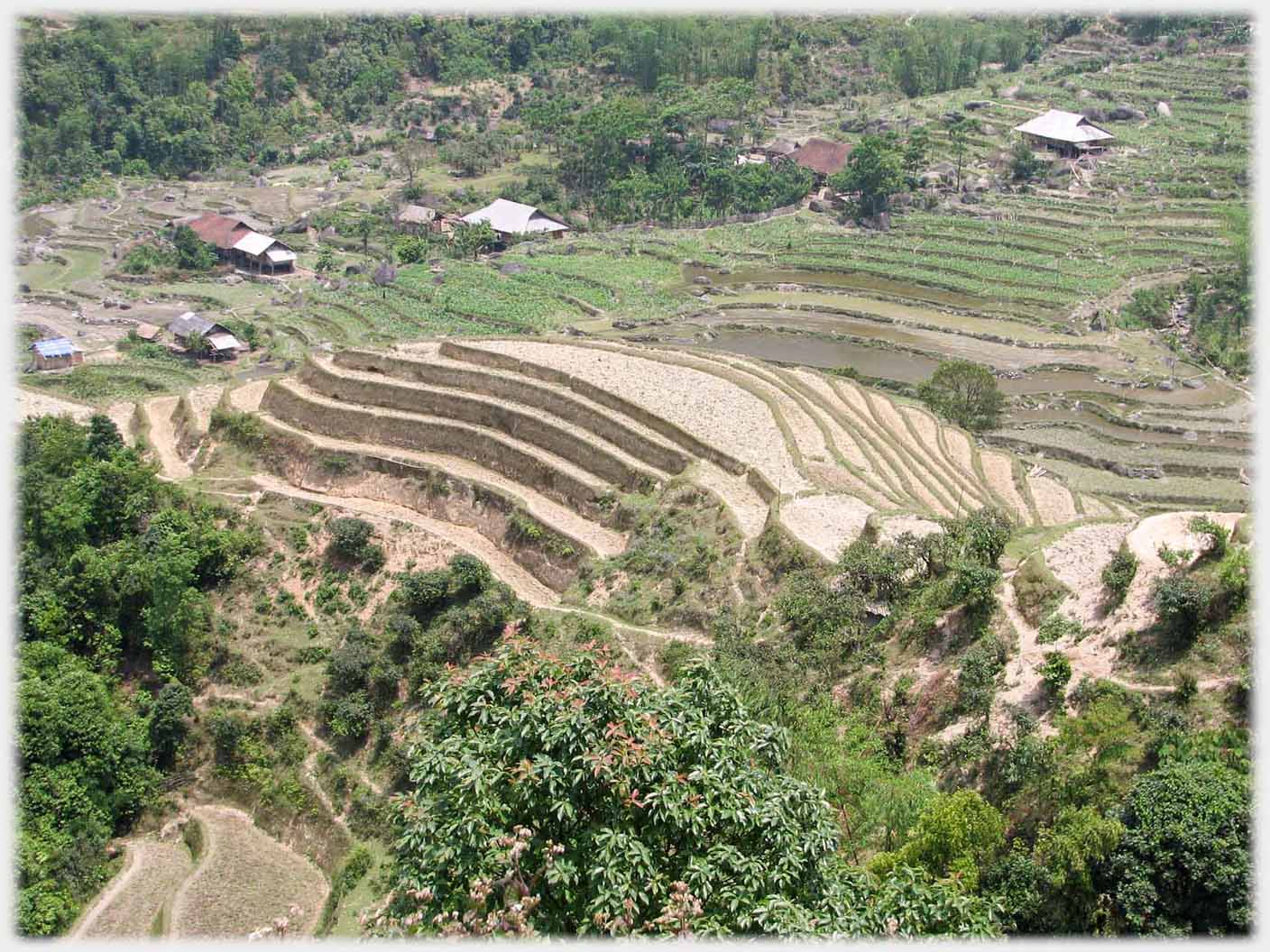 A tongue of dry land jutting out into a green valley.