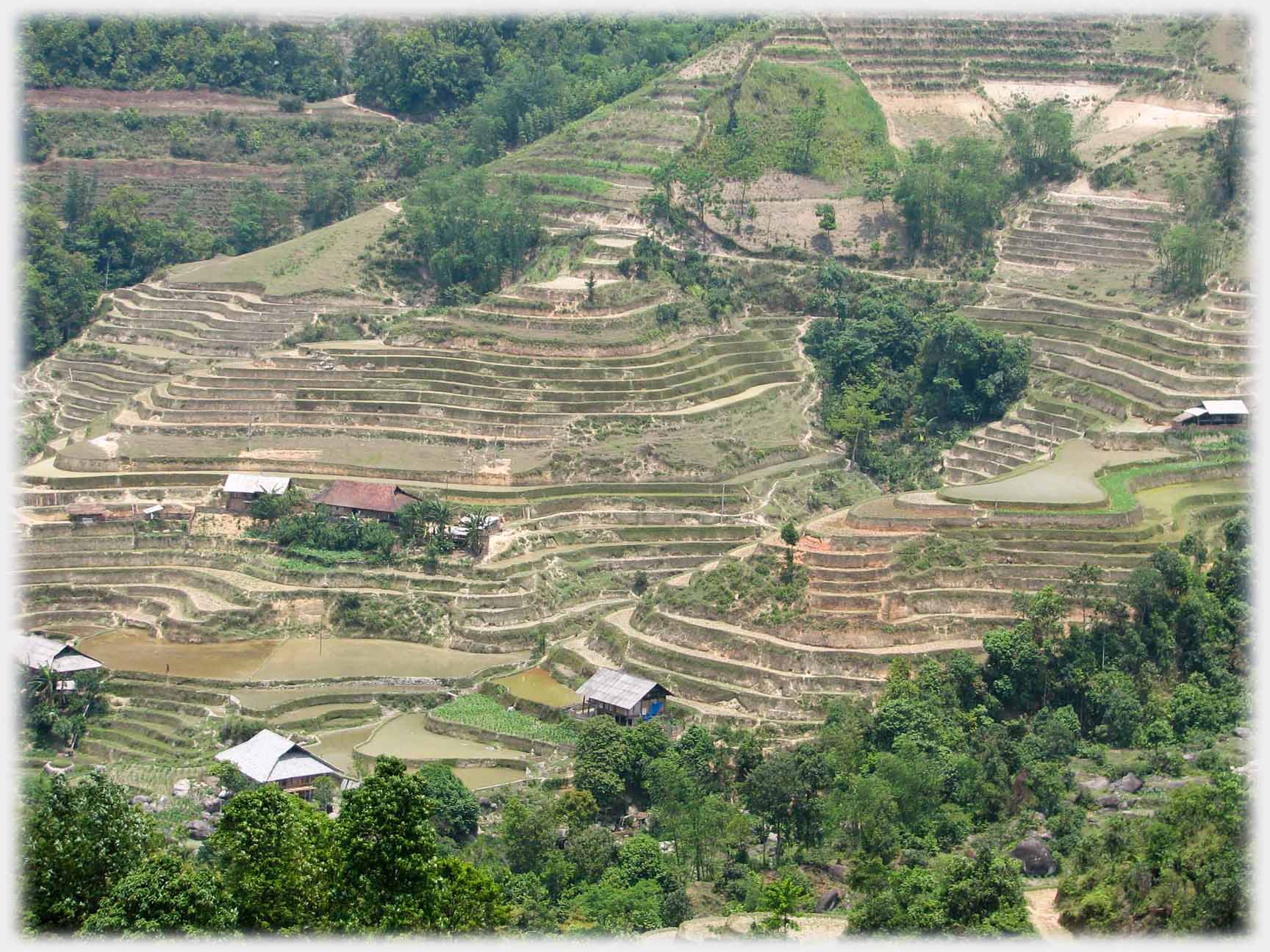 Dry green-less terracing with house at centre.