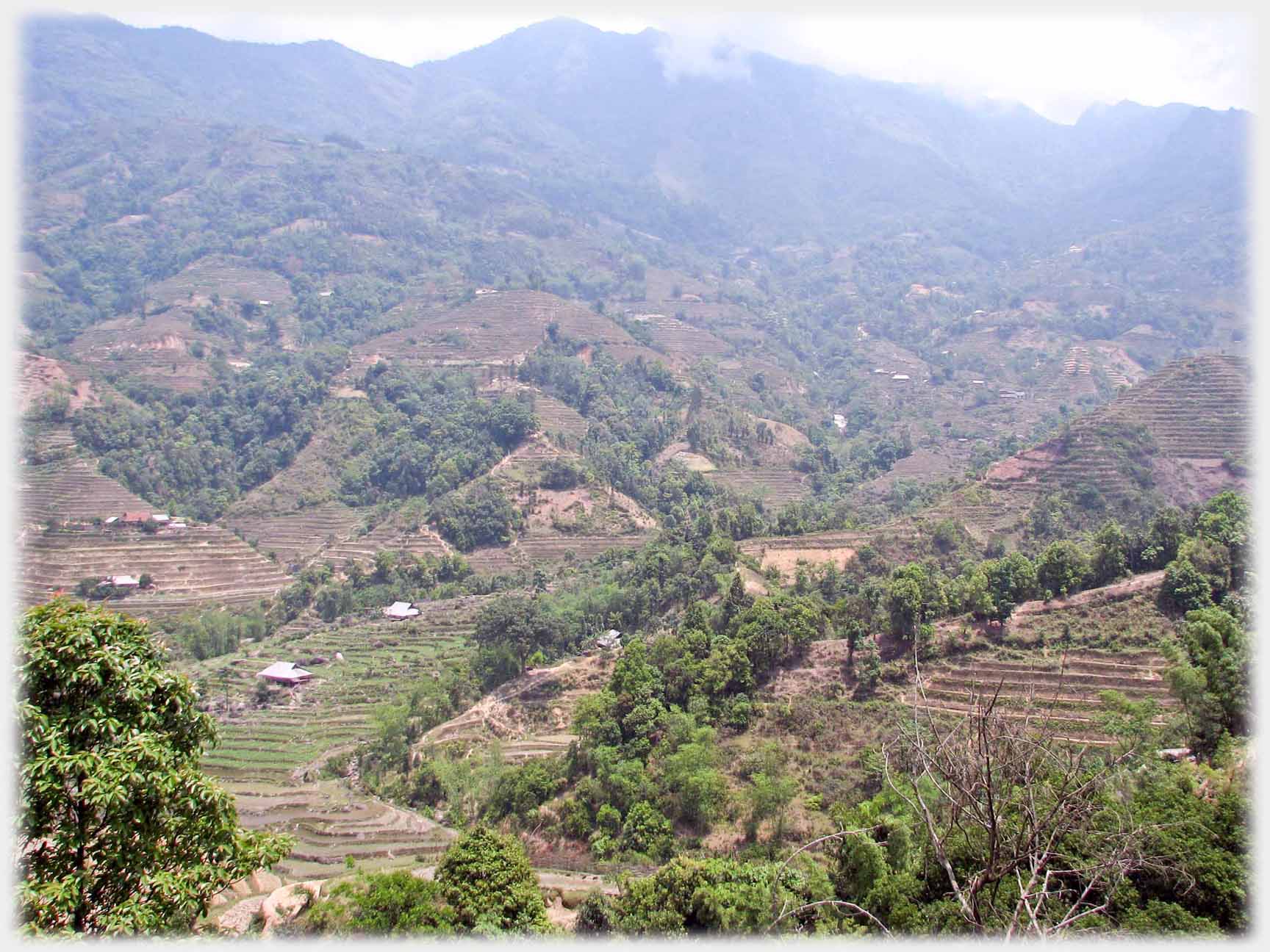 Terracing in valley, treed hillside reaching clouds.
