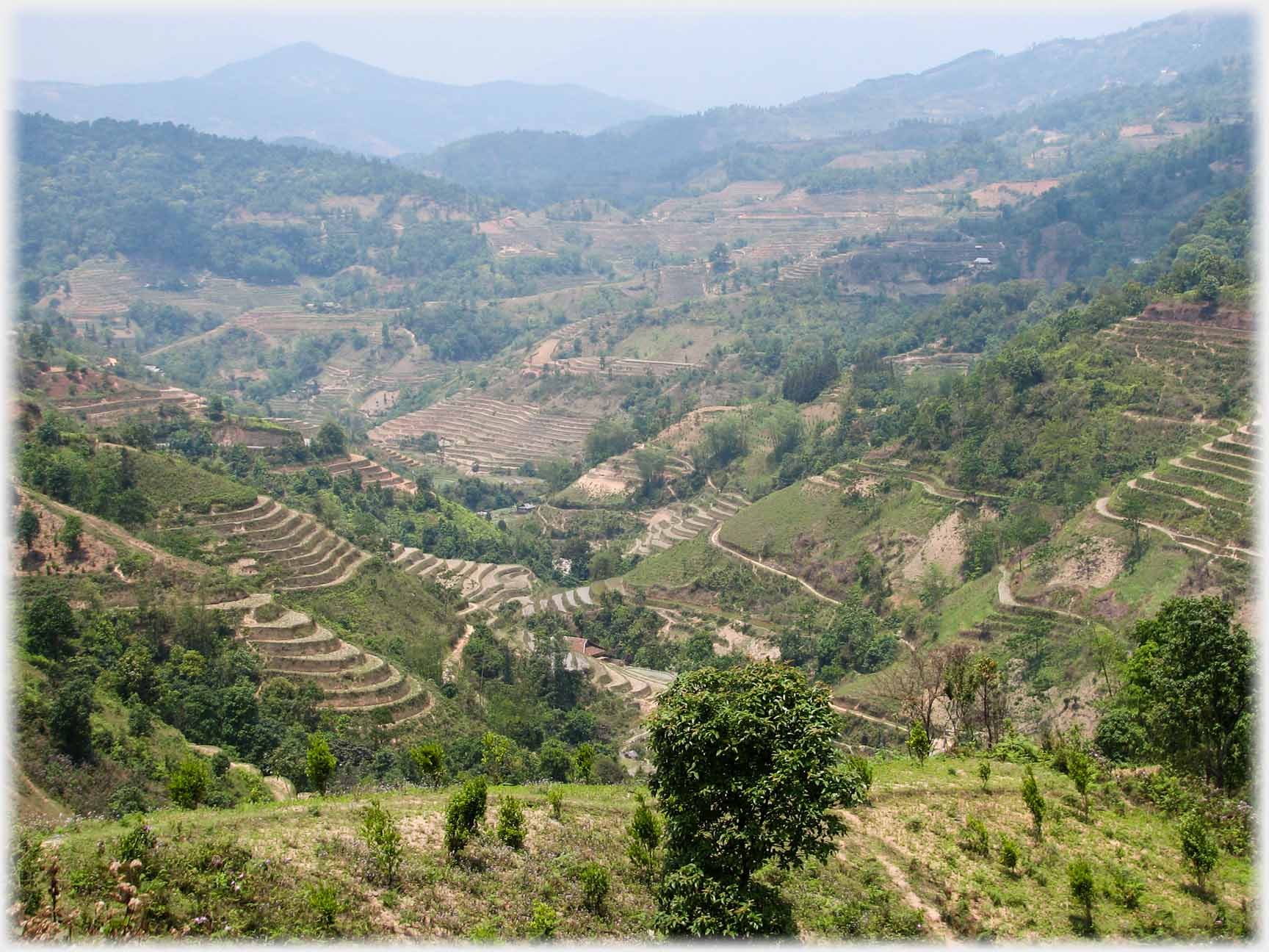 Terraced valley opening to distant peaked mountain