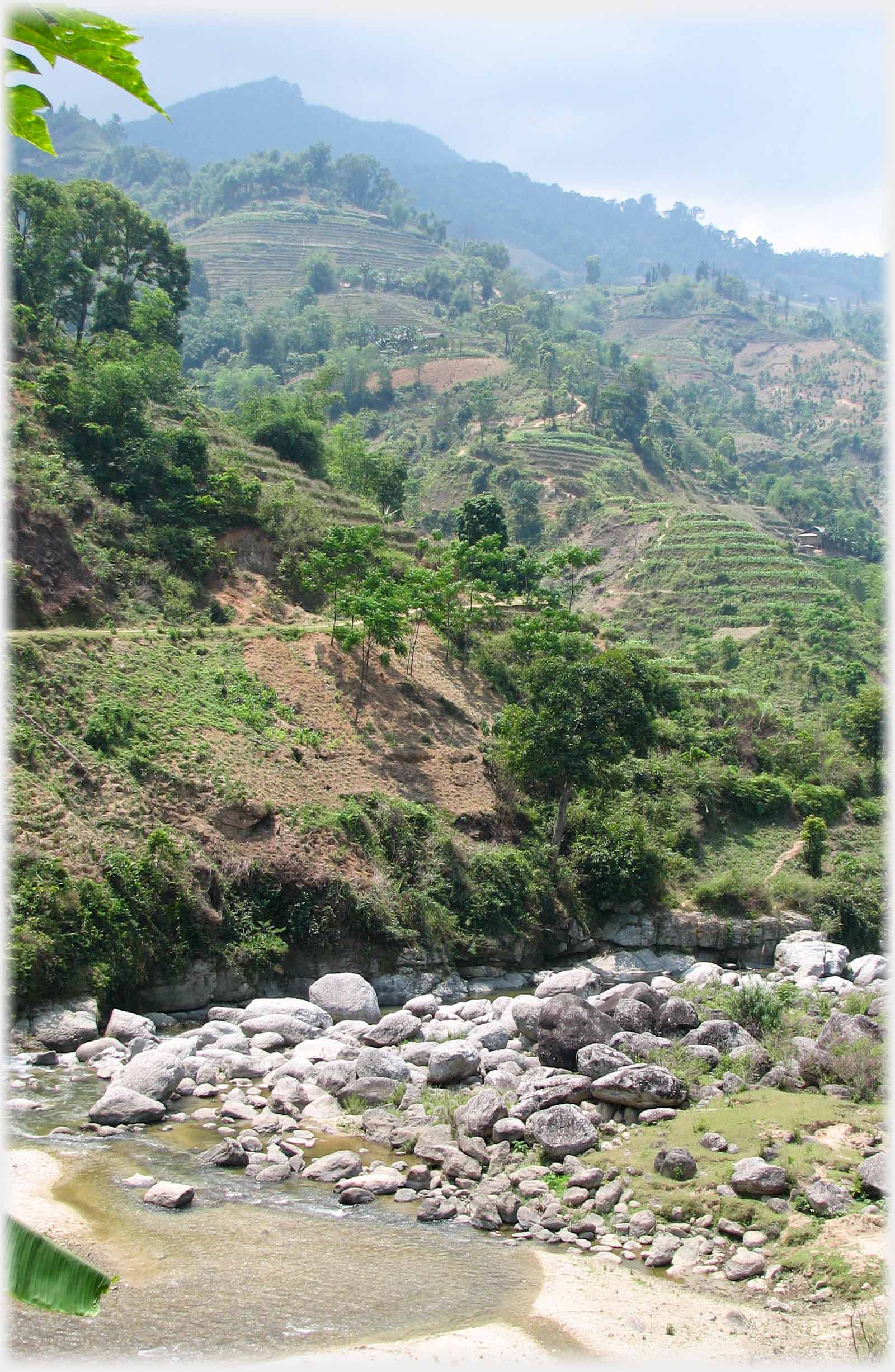 Stony river bed, road above, hill steeply rising away with terraces and trees.