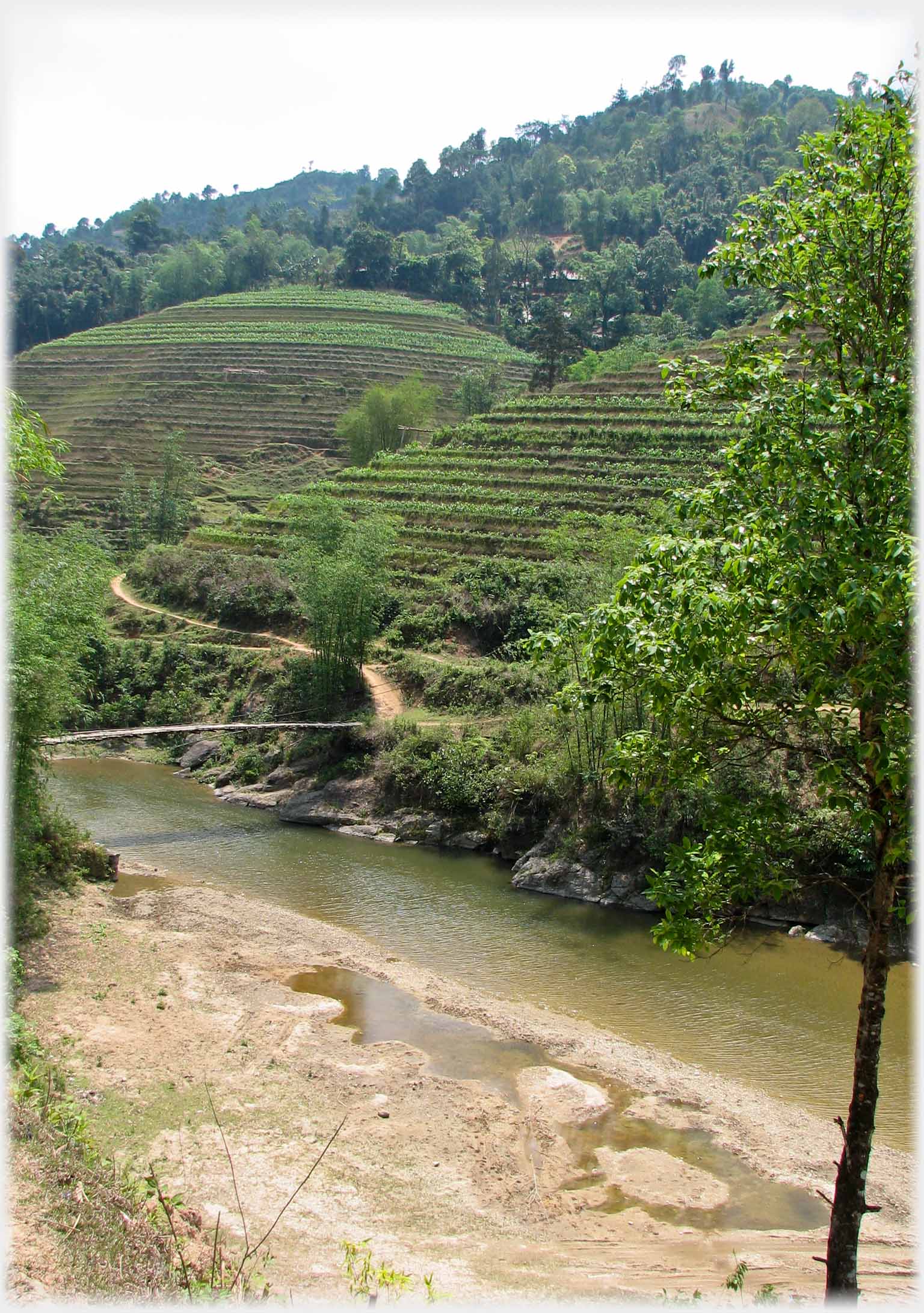 Terraced rounded hills turning green and falling to a river with footbridge.