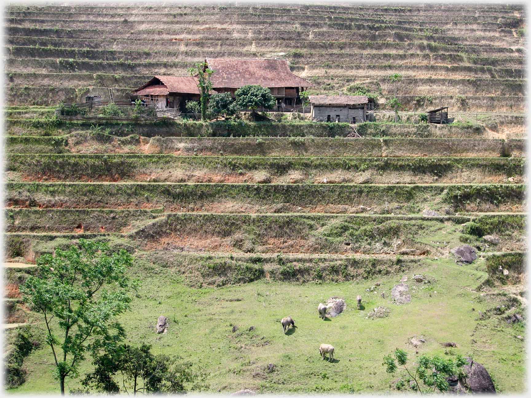 A close-up of the house in the last photo.