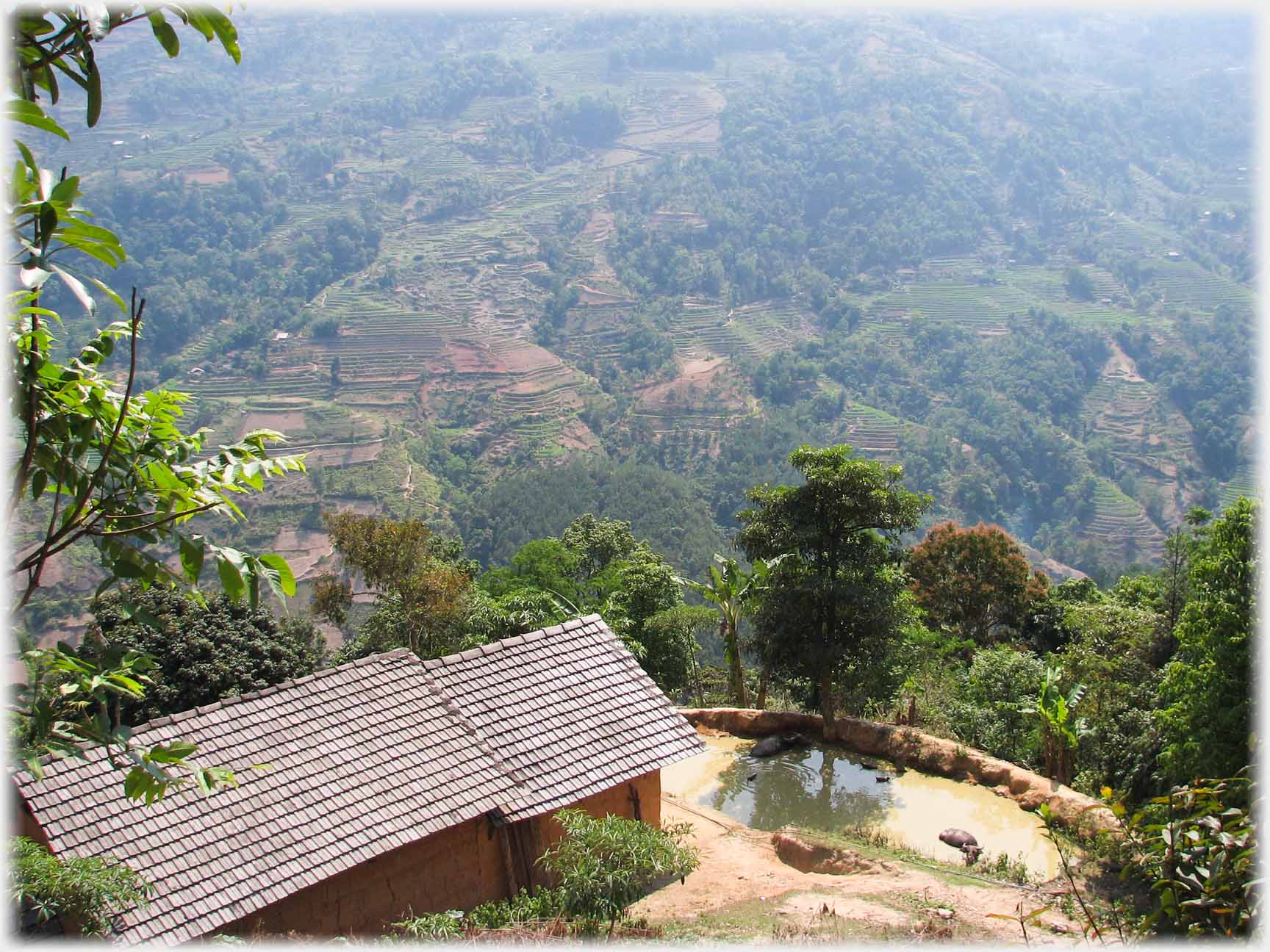 House roof, pool adjacent, deep wooded valley beyond.