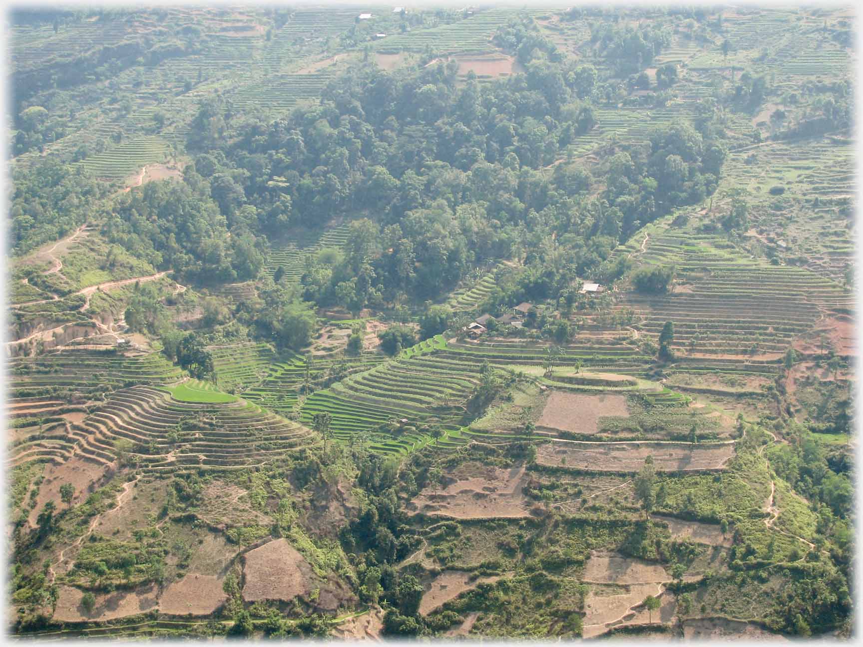 Terracing with small wooded valley beyond.