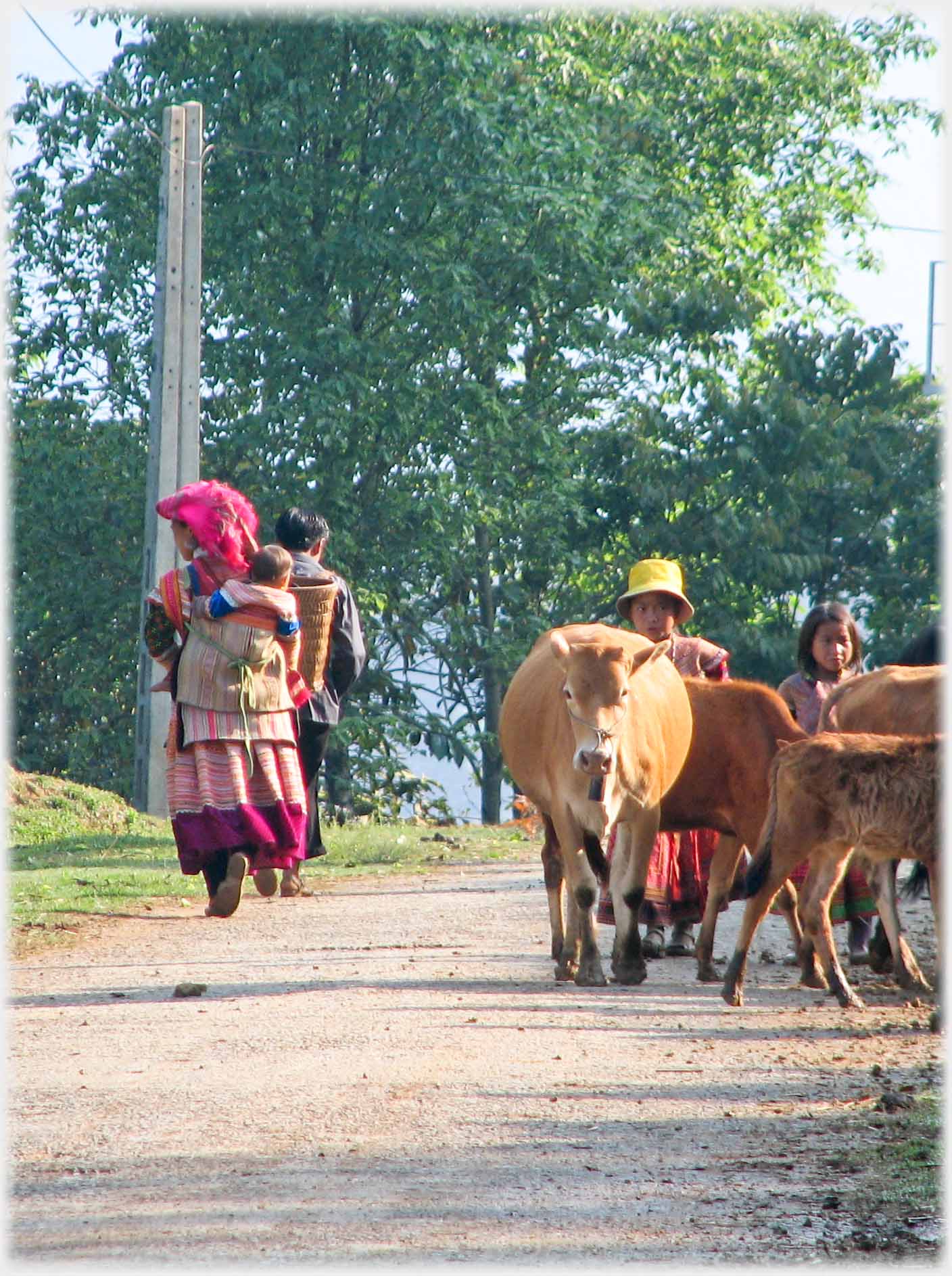 People walking away on left of road, and cows walking towards on right.