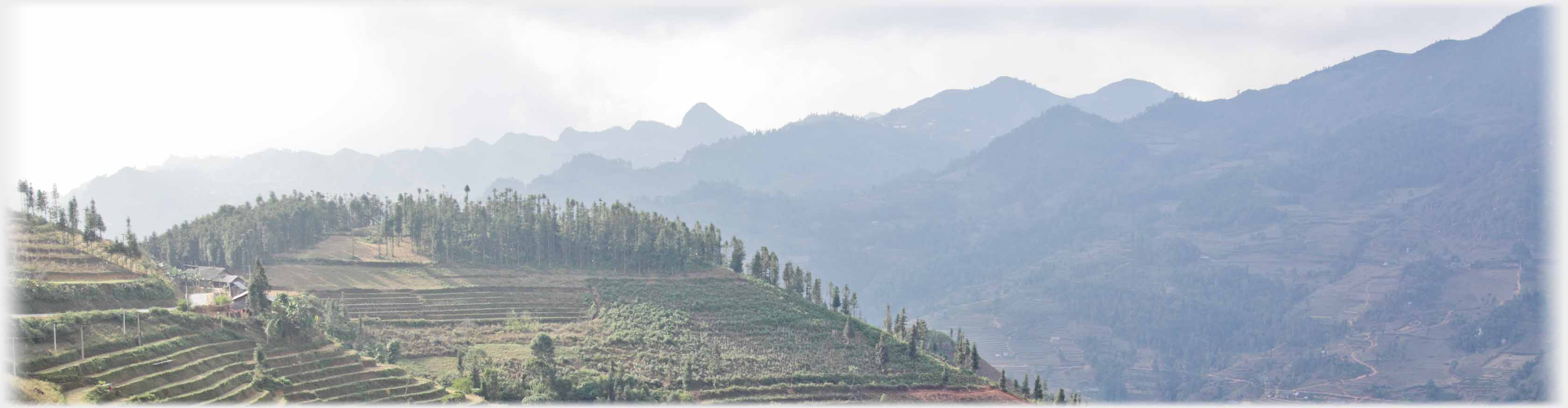 Near treed, terraced hilltop, beyond mountains.