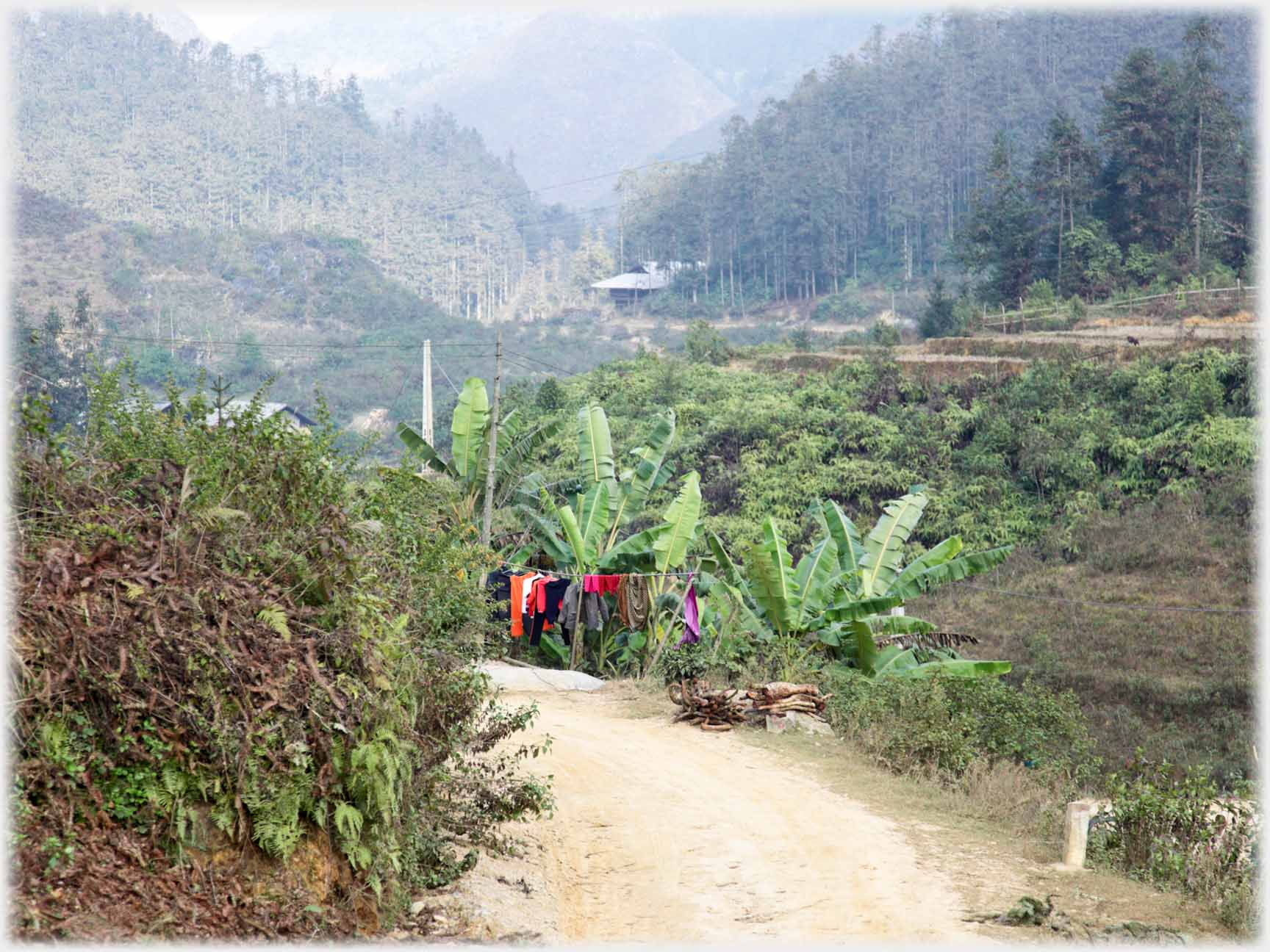 Unsurfaced road, banana trees line of washing, valley beyond.