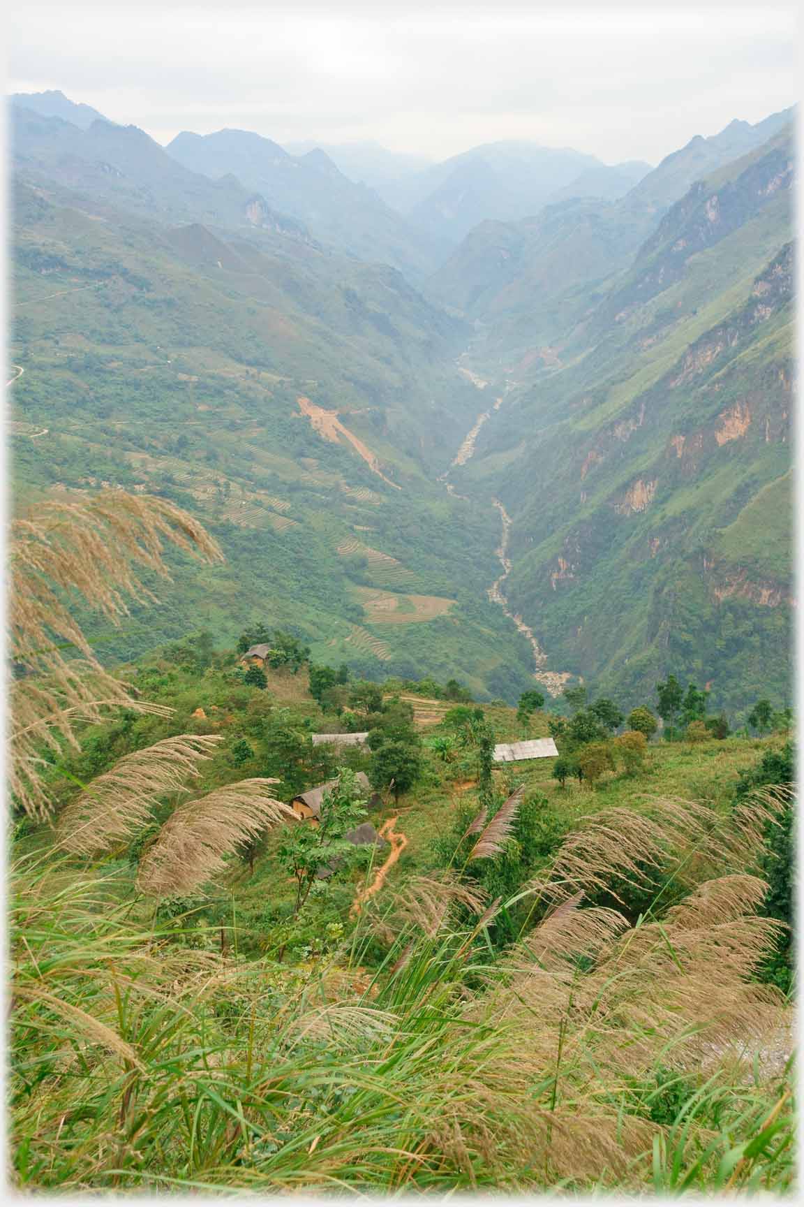 Green misty valley.