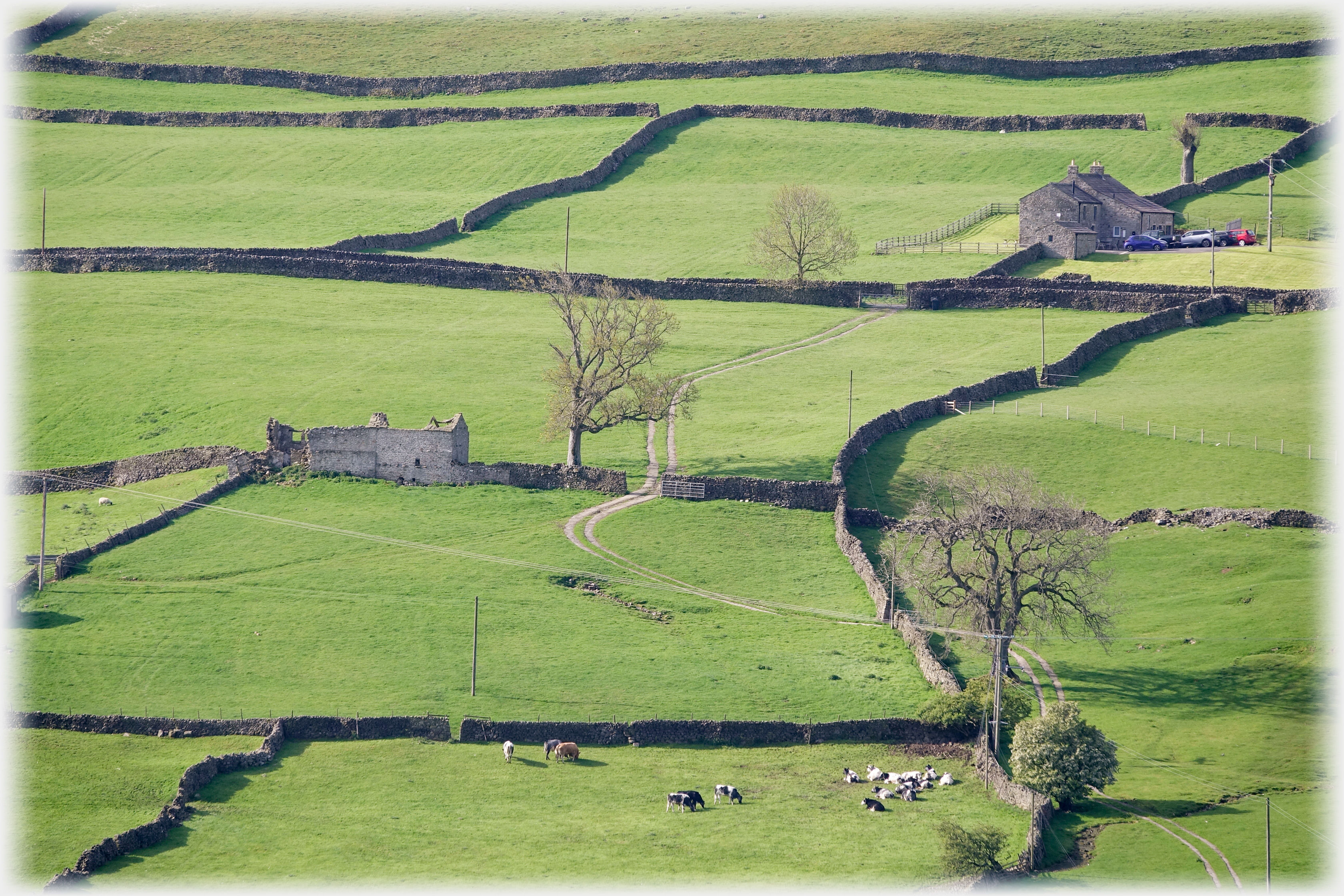 Dyked fields with hour and ruin.