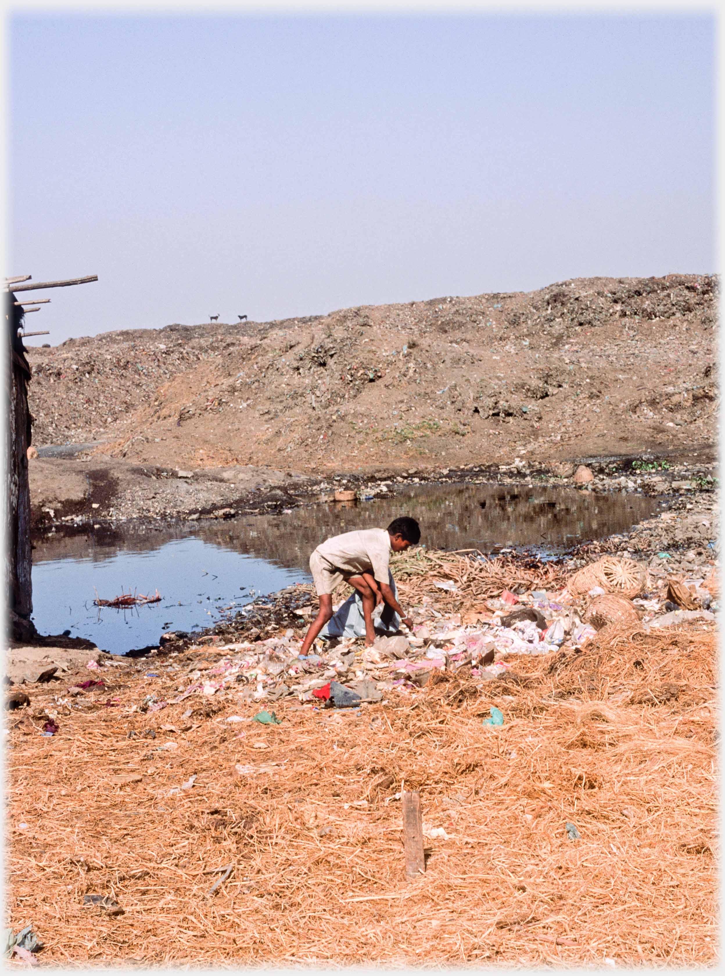Boy raking throough rubbish in large dump.