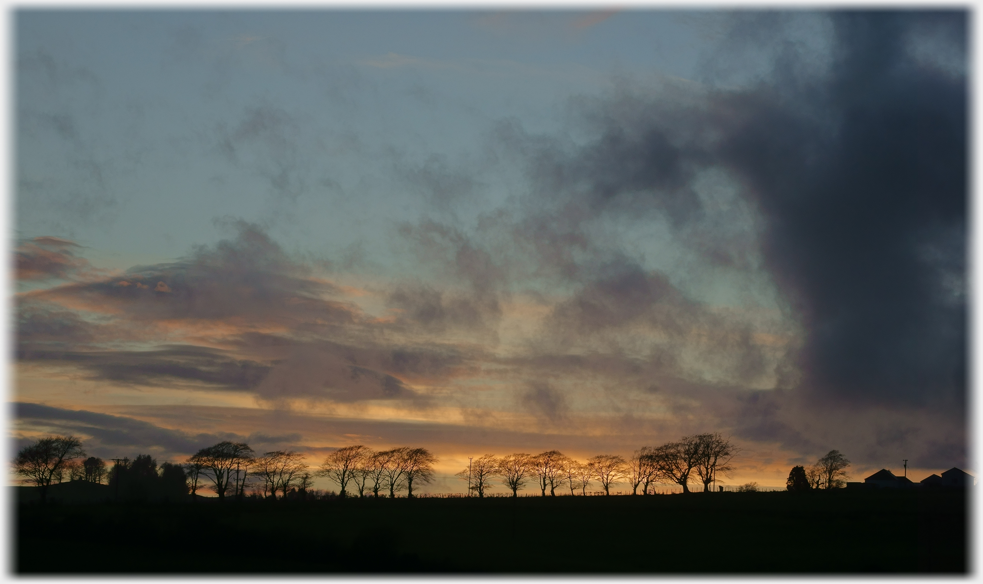 Line of tree silhouettes against sunset and black clouds.